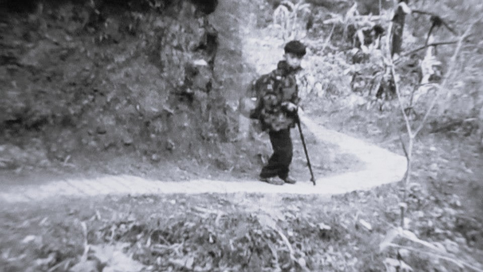 Hiking trail of Pito, Benguet Biography Photos